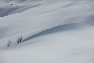 Full frame shot of snow covered land