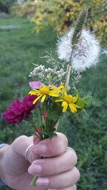 Close-up of hand holding flowers bouquet