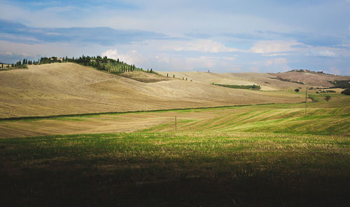 Scenic view of farm against sky