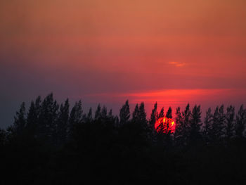 Silhouette trees against sky during sunset