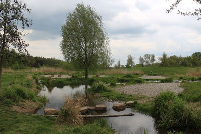 Scenic view of river amidst field against sky