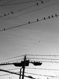 Low angle view of silhouette birds flying against clear sky