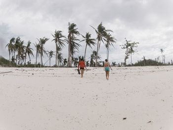 Palm trees on beach against cloudy sky