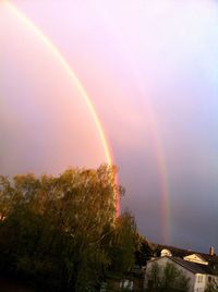 Rainbow over trees