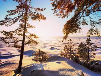 Scenic view of lake against sky during winter