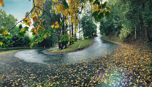 Road amidst trees during autumn