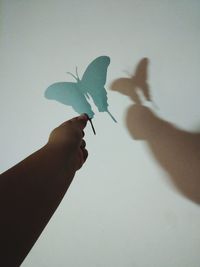 Close-up of hand holding leaf