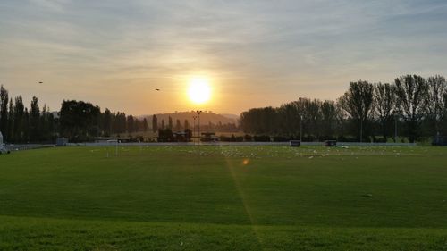 Scenic view of grassy field against sky