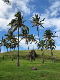 Palm trees on field against sky