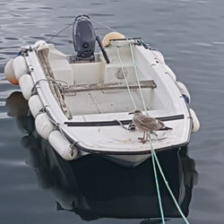 High angle view of sailboat moored in sea