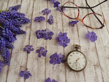 High angle view of purple flowering plants on table