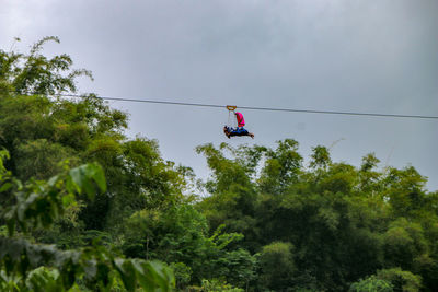 Low angle view of person ziplining over trees against sky
