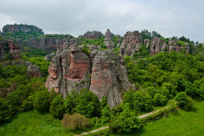 Trees on cliff against sky