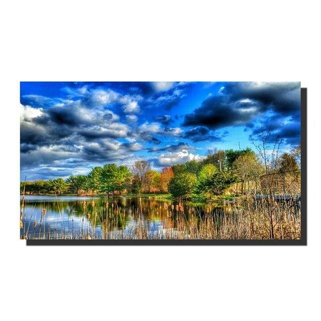 transfer print, tranquil scene, tree, tranquility, sky, auto post production filter, lake, scenics, water, beauty in nature, reflection, cloud - sky, nature, idyllic, growth, cloud, blue, cloudy, outdoors, non-urban scene