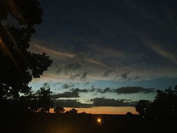 Silhouette of trees on field at sunset