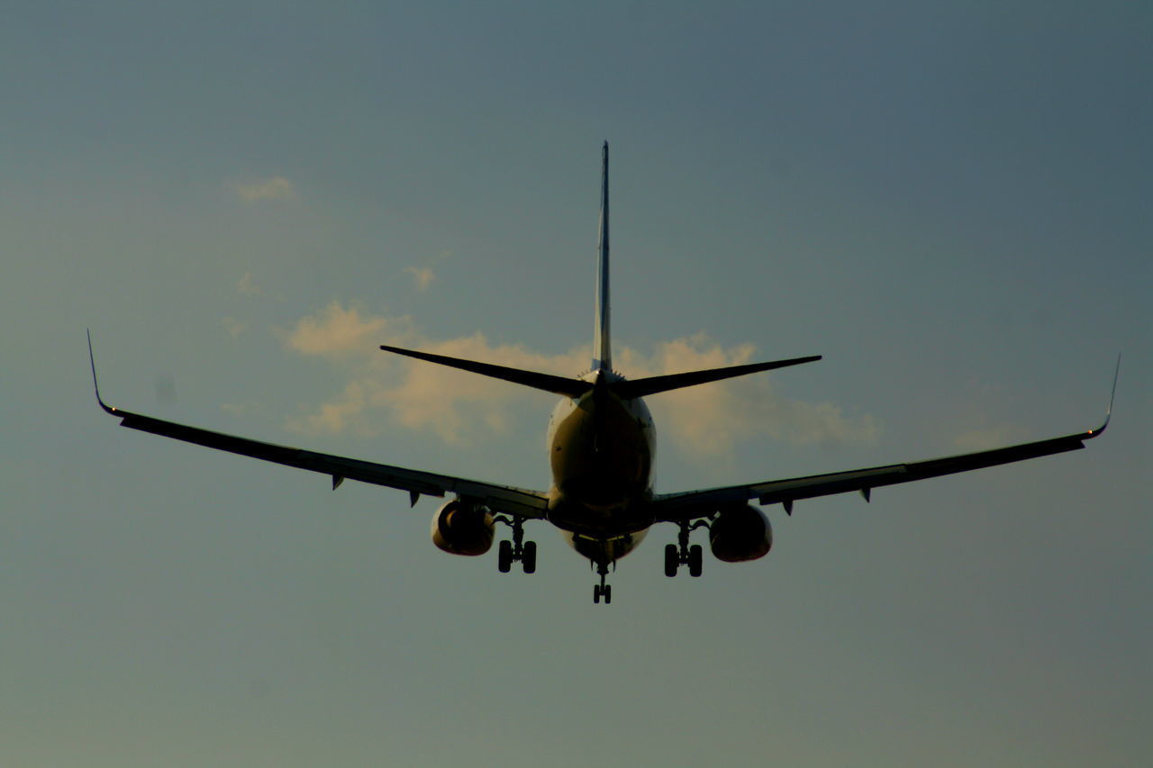 LOW ANGLE VIEW OF AIRPLANE FLYING AGAINST SKY