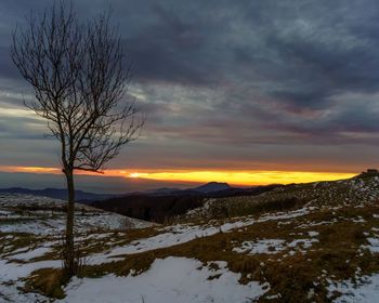 Scenic view of snow covered land during sunset