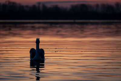 Silhouette woman standing by lake during sunset