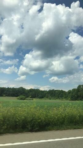 cloud - sky, landscape, sky, nature, agriculture, field, scenics, tree, day, tranquil scene, grass, no people, meadow, rural scene, road, beauty in nature, tranquility, outdoors, freshness