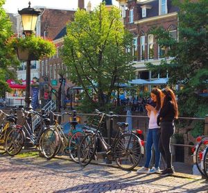 Bicycles parked by tree in city