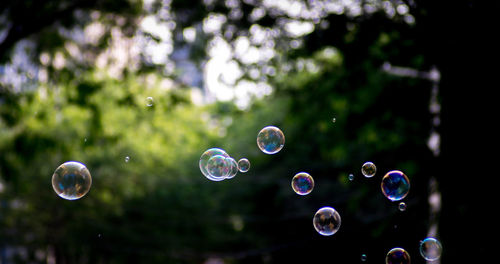 Close-up of bubbles against blurred background