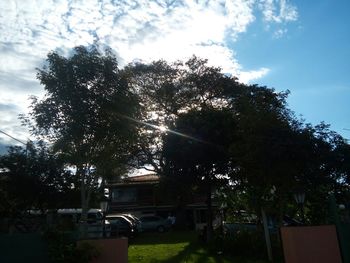 View of trees against sky