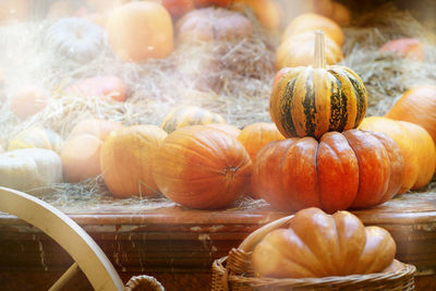 Close-up of pumpkins