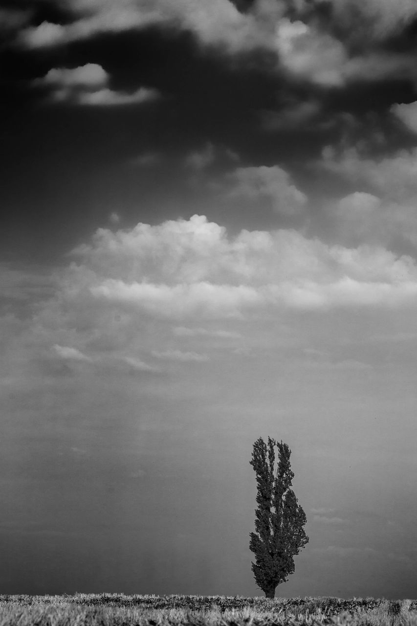 sky, tranquil scene, tranquility, tree, beauty in nature, cloud - sky, scenics, nature, cloudy, water, sea, growth, cloud, horizon over water, weather, idyllic, overcast, outdoors, day, plant