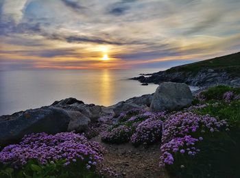 Scenic view of sea against sky during sunset