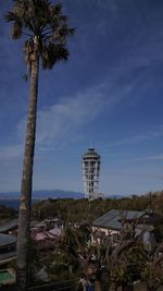 Palm trees by building against sky