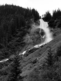 Scenic view of waterfall in forest