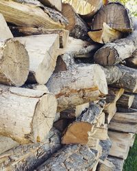 Stack of logs