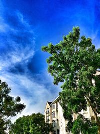 Low angle view of building against blue sky