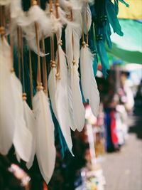 Close-up of hanging outdoors