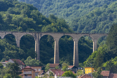 Arch bridge against trees in forest