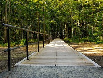 Footbridge amidst trees in forest