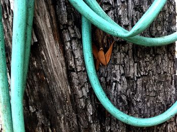 Close-up of object on the wall