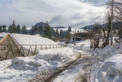 Snow covered trees and buildings against sky