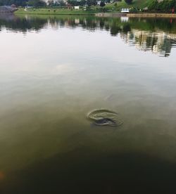 Reflection of floating on water in lake