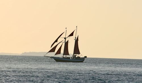 Sailboat sailing on sea against clear sky during sunset