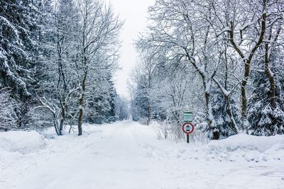 Road amidst bare trees during winter