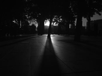 Empty road along trees