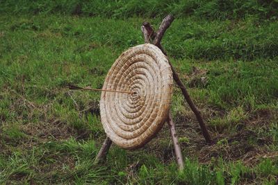 Hay bales on grassy field