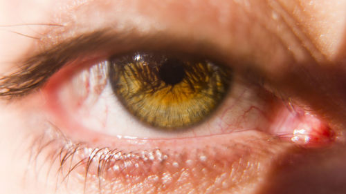 Extreme close-up of human eye