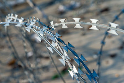 Close-up of barbed wire fence