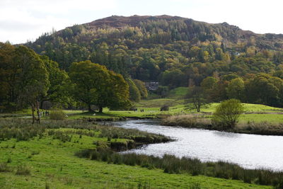 Scenic view of lake and trees against sky