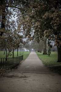 Footpath amidst trees in park