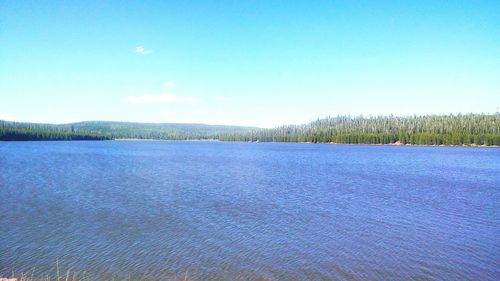 Scenic view of landscape against clear blue sky