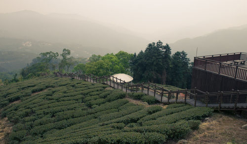 Scenic view of farm against sky