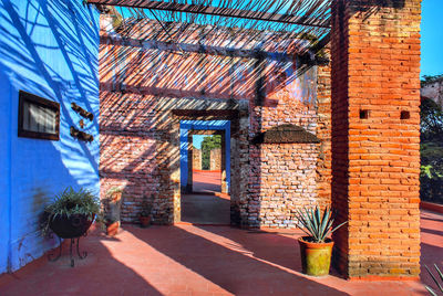 Potted plants outside building